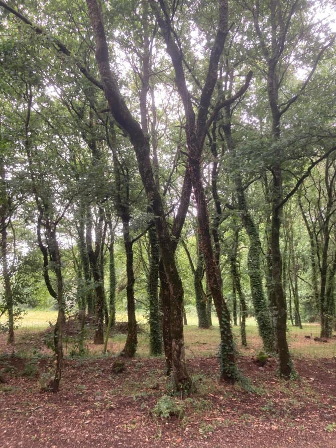 Camping Vila De 萨里亚 外观 照片