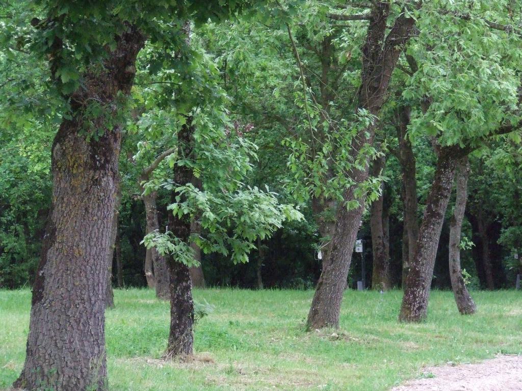 Camping Vila De 萨里亚 外观 照片