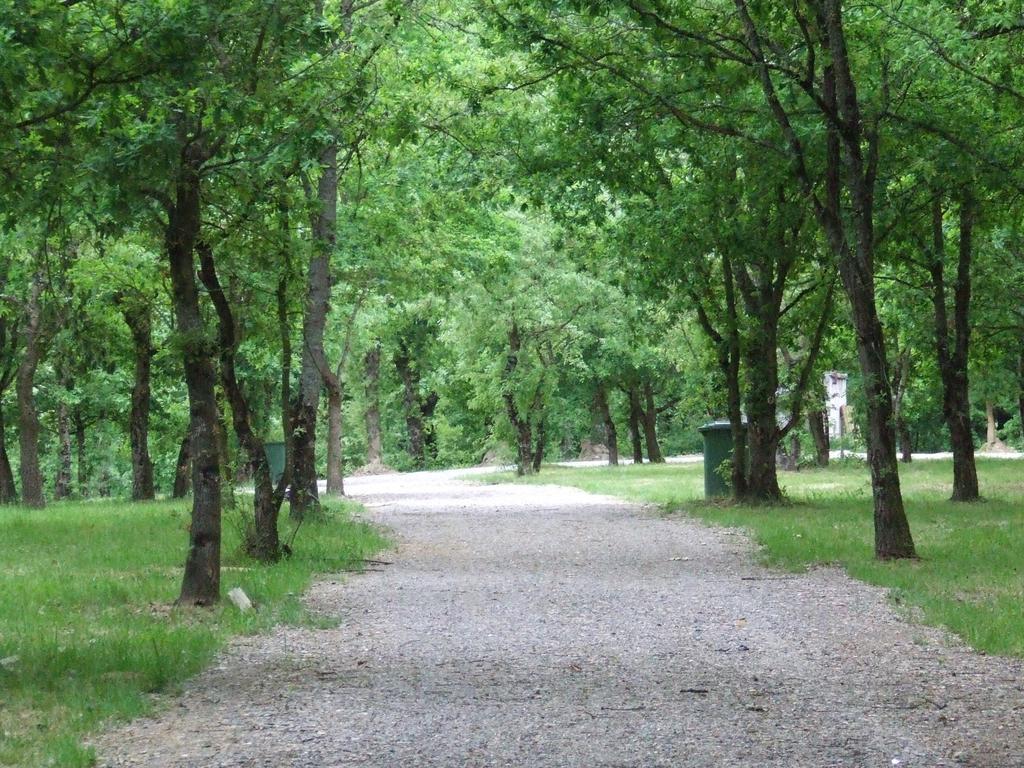 Camping Vila De 萨里亚 外观 照片